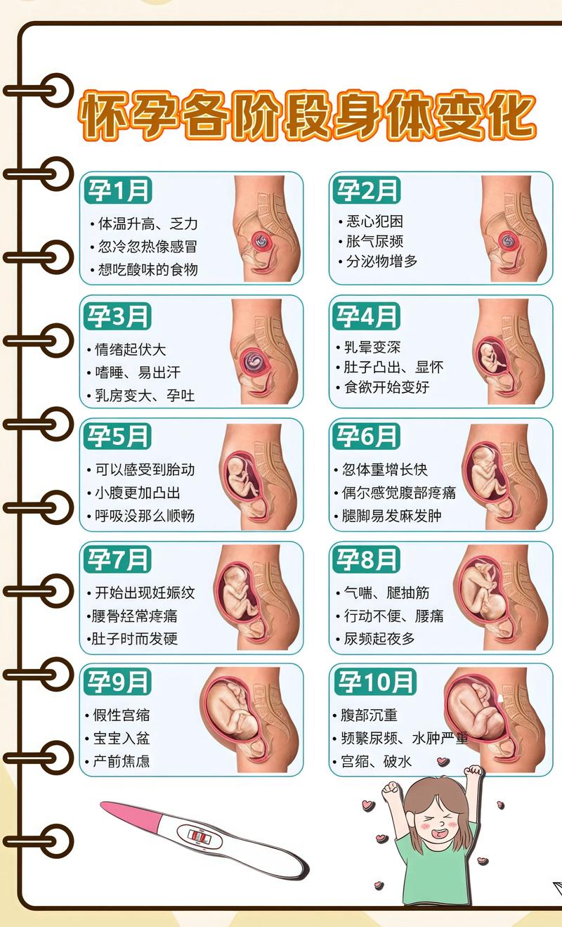 揭秘供卵代孕妈妈怀孕小腹分两节，孕期变化的奥秘九江代生机构: