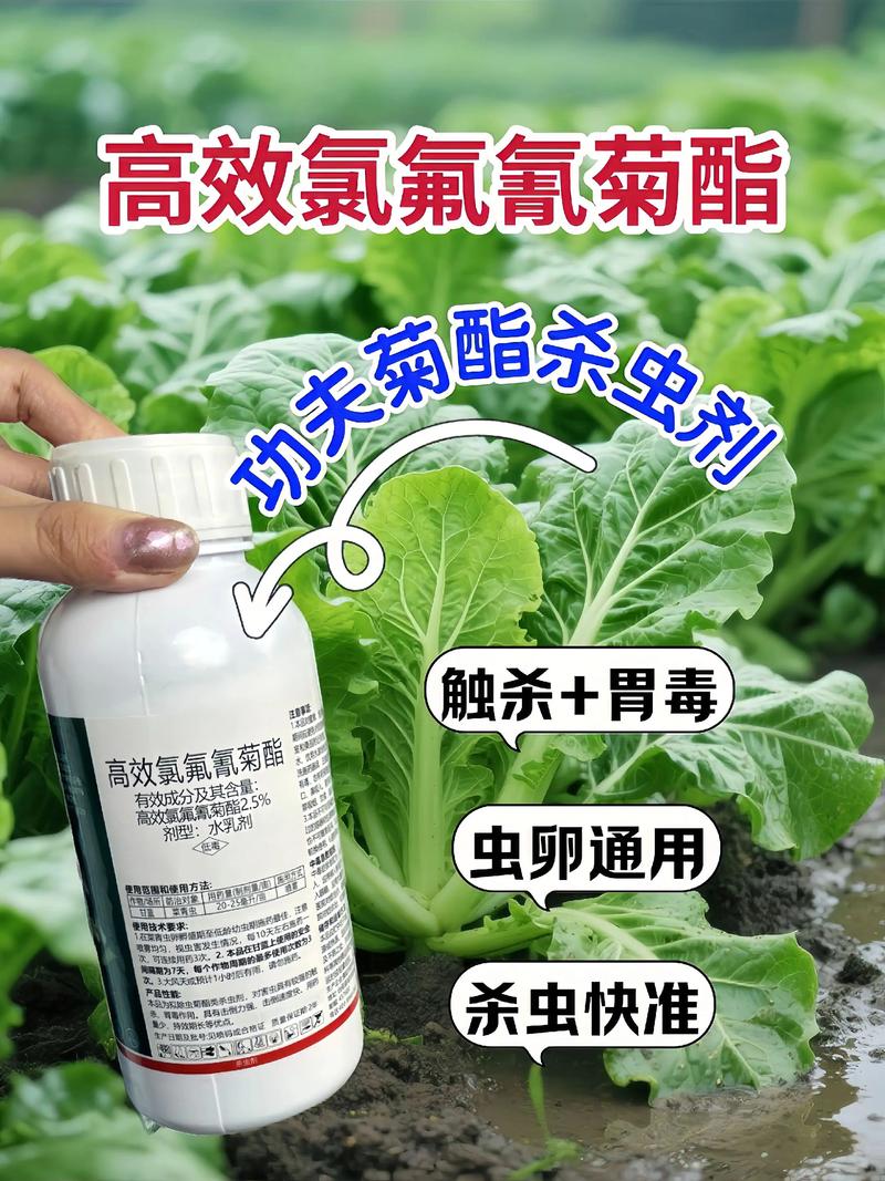 九江代生中心:农药对供卵代生妈妈的危害